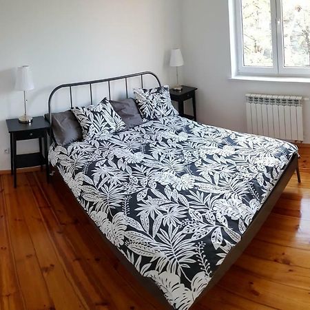 Apartament Styczynskiego غليفيتسه المظهر الخارجي الصورة