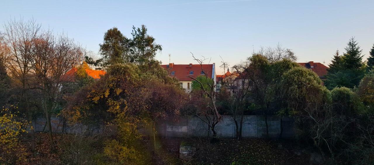 Apartament Styczynskiego غليفيتسه المظهر الخارجي الصورة